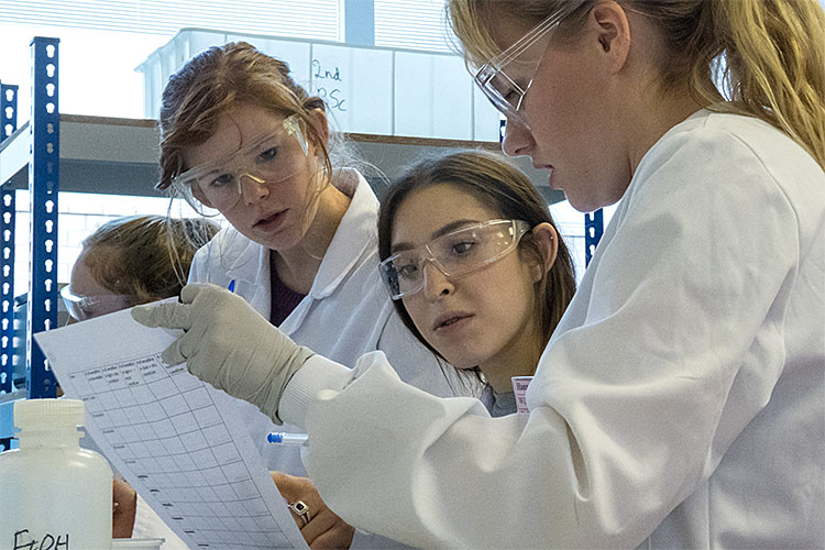 Students in a practical lab tutorial