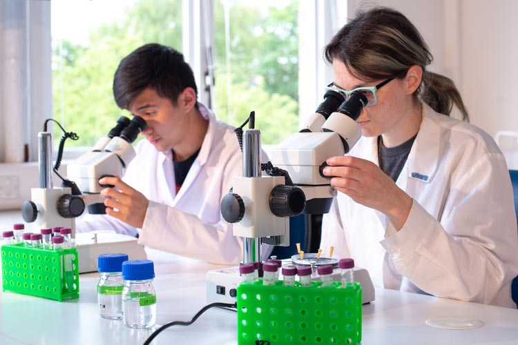 Two students at microscopes.