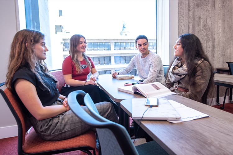 School of International Relations Students